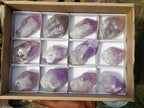 Natural Jacaranda Amethyst Single Crystals x 12 From Mumbwa, Zambia - Toprock Gemstones and Minerals 