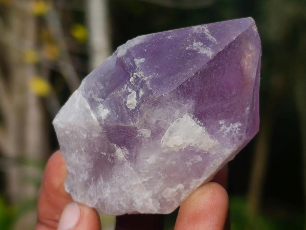 Natural Jacaranda Amethyst Single Crystals x 12 From Mumbwa, Zambia - Toprock Gemstones and Minerals 