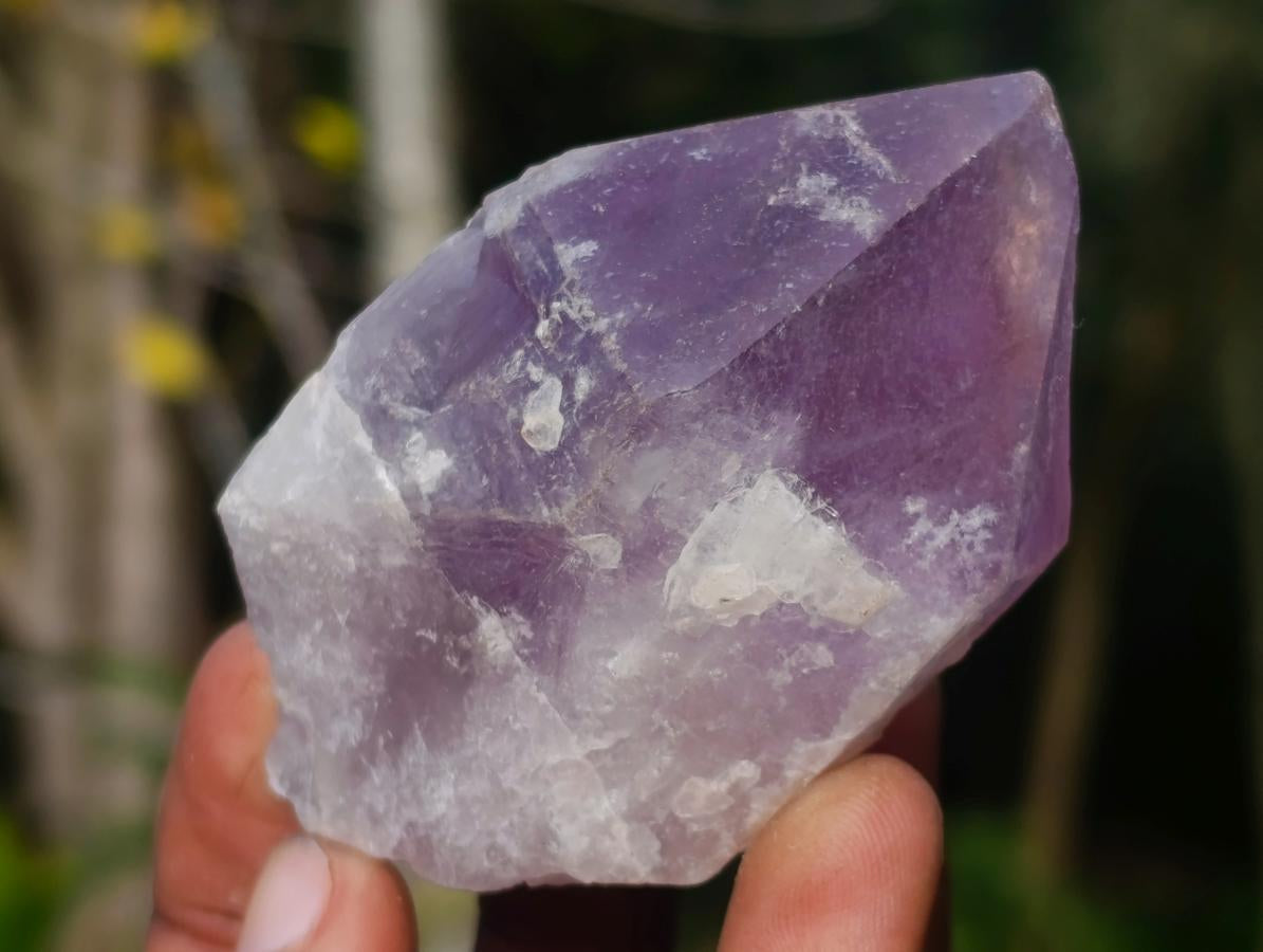 Natural Jacaranda Amethyst Single Crystals x 12 From Mumbwa, Zambia - Toprock Gemstones and Minerals 