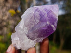 Natural Jacaranda Amethyst Single Crystals x 12 From Mumbwa, Zambia - Toprock Gemstones and Minerals 