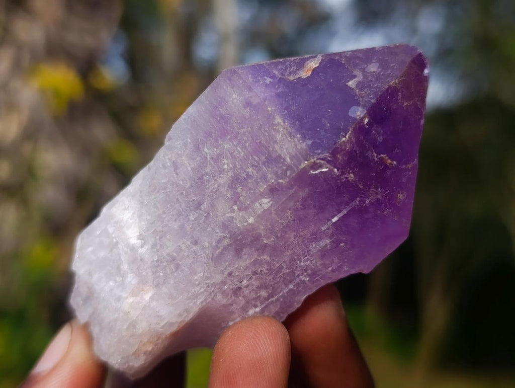 Natural Jacaranda Amethyst Single Crystals x 12 From Mumbwa, Zambia - Toprock Gemstones and Minerals 
