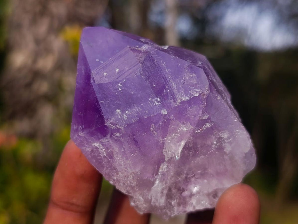 Natural Jacaranda Amethyst Single Crystals x 12 From Mumbwa, Zambia - Toprock Gemstones and Minerals 