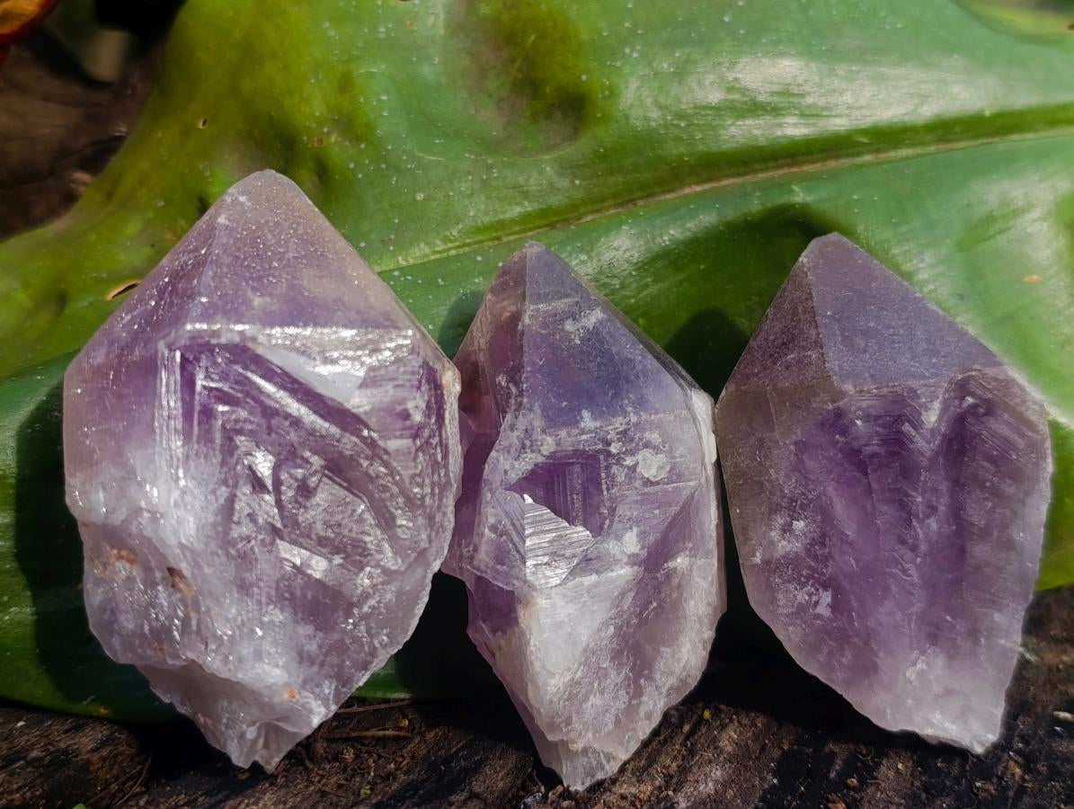 Natural Jacaranda Amethyst Single Crystals x 12 From Mumbwa, Zambia - Toprock Gemstones and Minerals 
