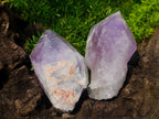 Natural Jacaranda Amethyst Single Crystals x 12 From Mumbwa, Zambia - Toprock Gemstones and Minerals 