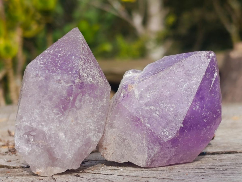 Natural Jacaranda Amethyst Single Crystals x 12 From Mumbwa, Zambia - Toprock Gemstones and Minerals 