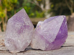 Natural Jacaranda Amethyst Single Crystals x 12 From Mumbwa, Zambia - Toprock Gemstones and Minerals 