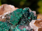 Natural Large Ball Malachite Coated Smokey Quartz on Dolomite Matrix x 1 From Mindingi Mine, Congo - Toprock Gemstones and Minerals 