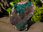 Natural Large Ball Malachite Coated Smokey Quartz on Dolomite Matrix x 1 From Mindingi Mine, Congo - Toprock Gemstones and Minerals 