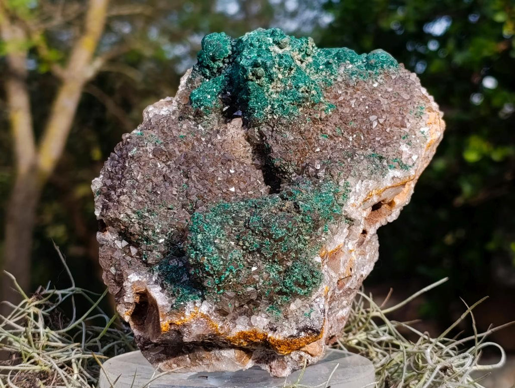 Natural Large Ball Malachite Coated Smokey Quartz on Dolomite Matrix x 1 From Mindingi Mine, Congo - Toprock Gemstones and Minerals 
