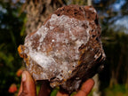Natural Large Ball Malachite Coated Smokey Quartz on Dolomite Matrix x 1 From Mindingi Mine, Congo - Toprock Gemstones and Minerals 