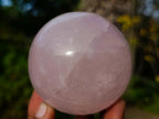 Polished Gemmy Star Rose Quartz Spheres x 3 From Madagascar - Toprock Gemstones and Minerals 