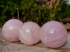 Polished Gemmy Star Rose Quartz Spheres x 3 From Madagascar - Toprock Gemstones and Minerals 