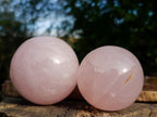 Polished Gemmy Star Rose Quartz Spheres x 3 From Madagascar - Toprock Gemstones and Minerals 