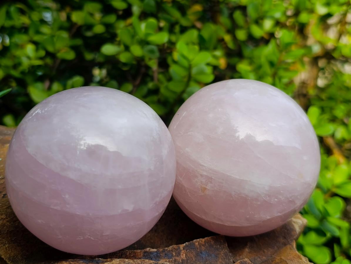 Polished Gemmy Star Rose Quartz Spheres x 3 From Madagascar - Toprock Gemstones and Minerals 