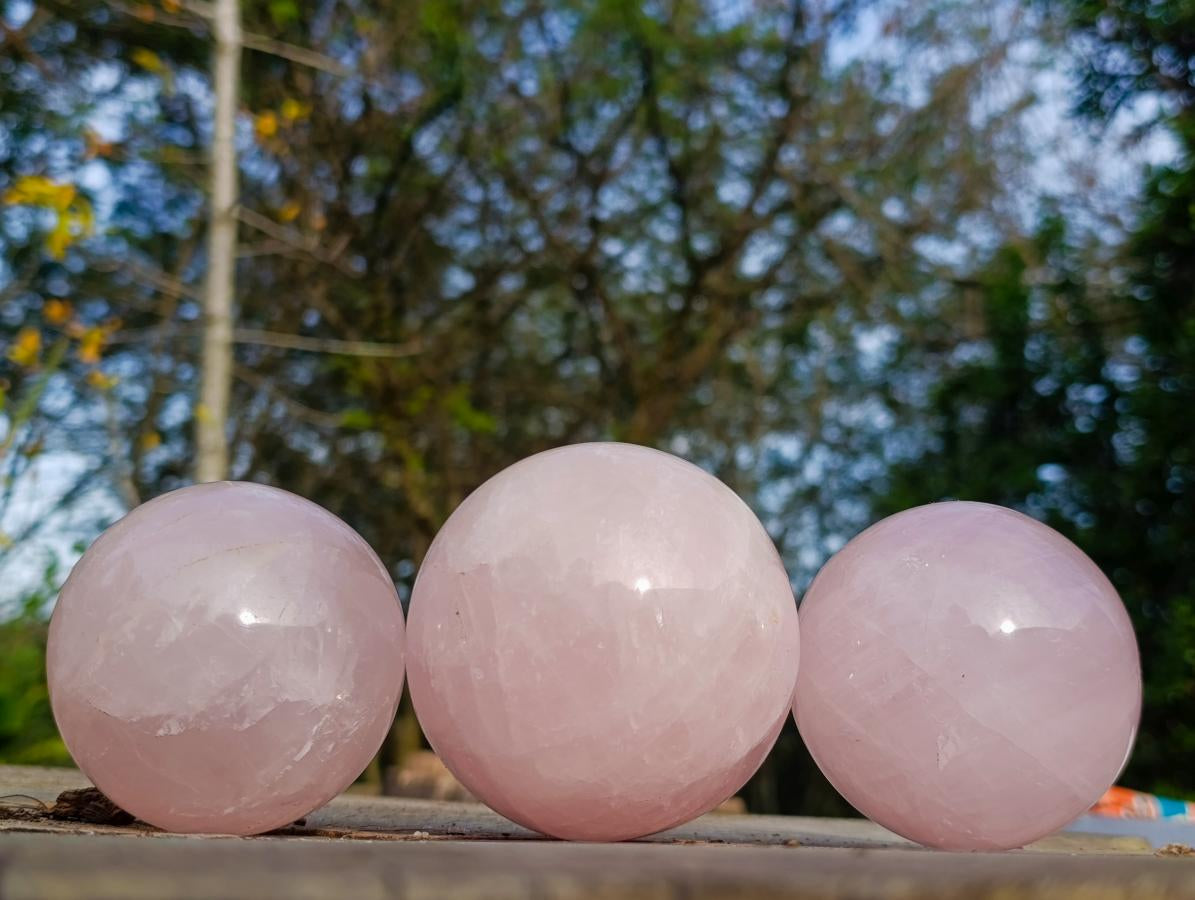 Polished Gemmy Star Rose Quartz Spheres x 3 From Madagascar - Toprock Gemstones and Minerals 