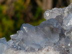 Polished Blue Celestite Display Crystals x 2 From Sakoany, Madagascar - Toprock Gemstones and Minerals 