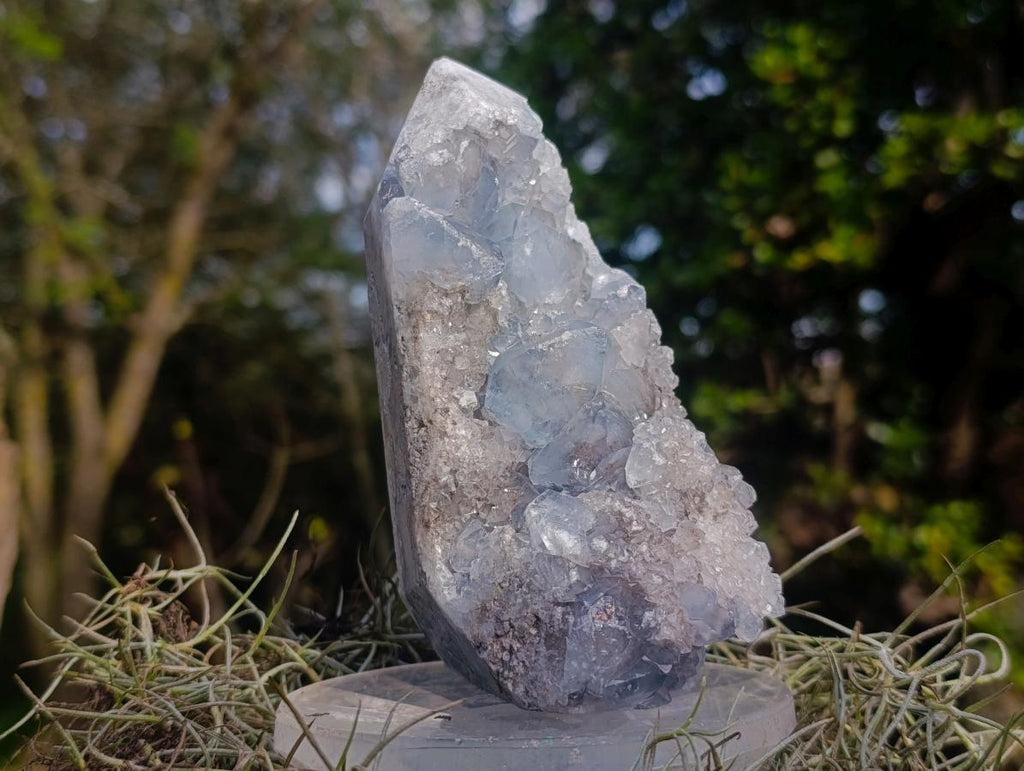 Polished Blue Celestite Display Crystals x 2 From Sakoany, Madagascar - Toprock Gemstones and Minerals 