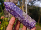 Polished Lepidolite Display Crystal Points x 6 From Ambatondrazaka, Madagascar - Toprock Gemstones and Minerals 