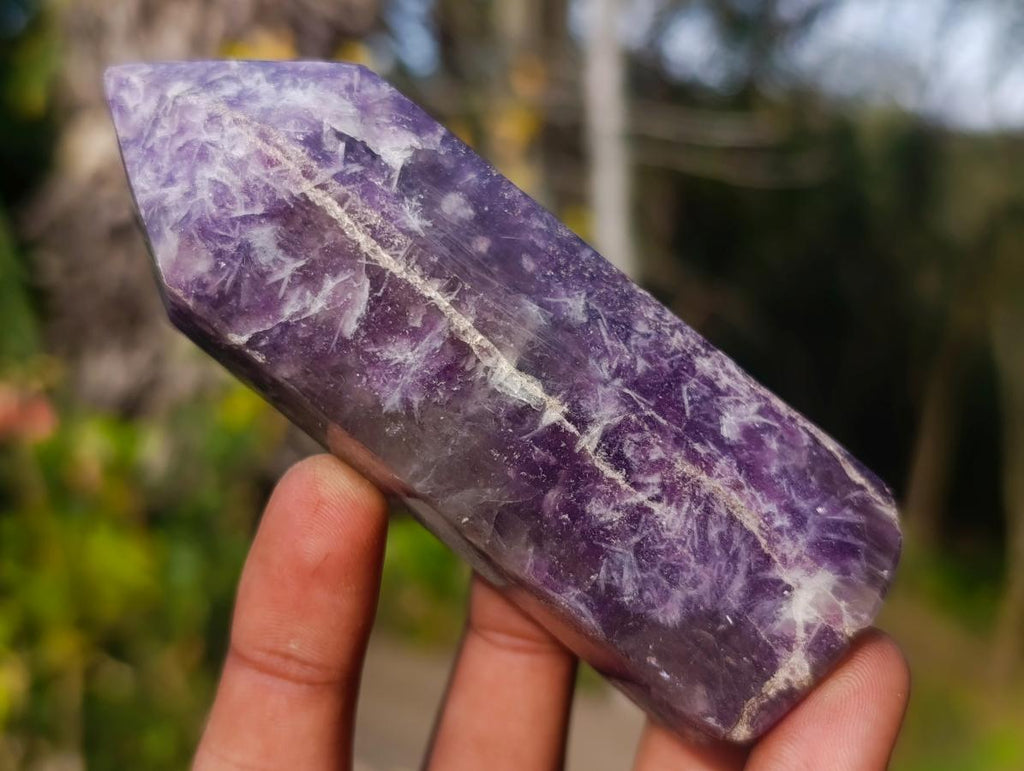 Polished Lepidolite Display Crystal Points x 6 From Ambatondrazaka, Madagascar - Toprock Gemstones and Minerals 