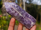 Polished Lepidolite Display Crystal Points x 6 From Ambatondrazaka, Madagascar - Toprock Gemstones and Minerals 