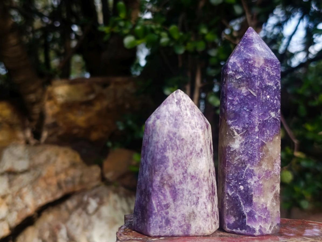 Polished Lepidolite Display Crystal Points x 6 From Ambatondrazaka, Madagascar - Toprock Gemstones and Minerals 