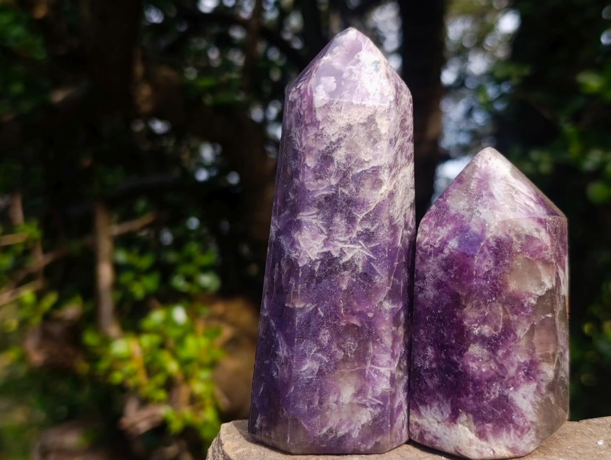 Polished Lepidolite Display Crystal Points x 6 From Ambatondrazaka, Madagascar - Toprock Gemstones and Minerals 