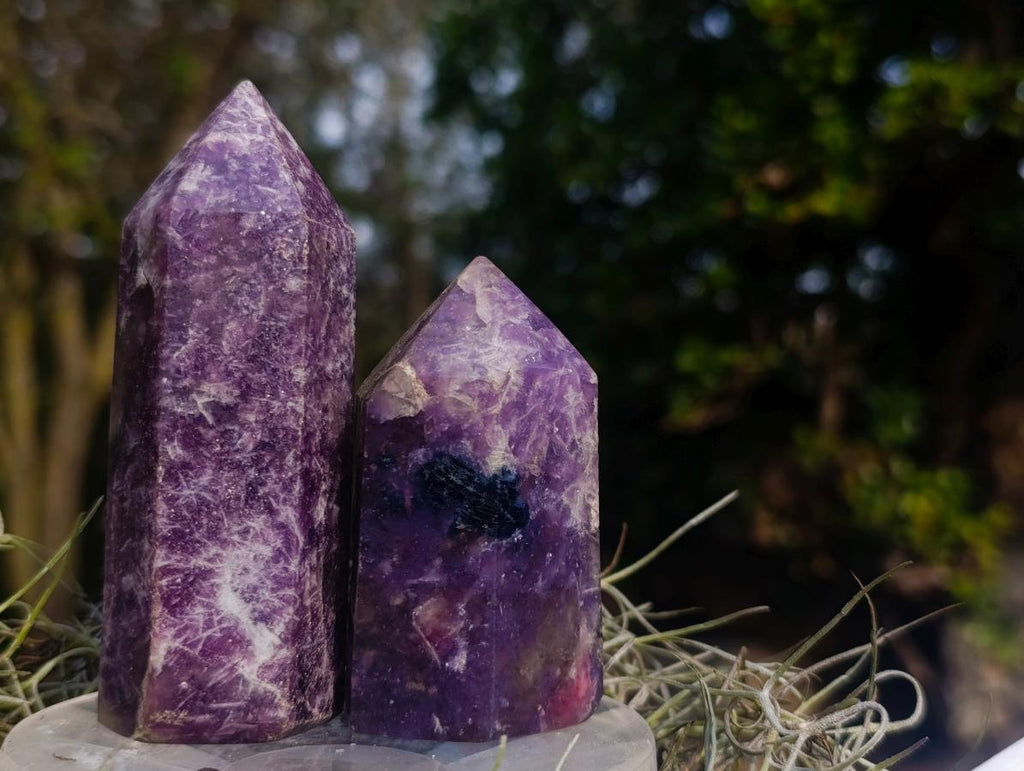 Polished Lepidolite Display Crystal Points x 6 From Ambatondrazaka, Madagascar - Toprock Gemstones and Minerals 