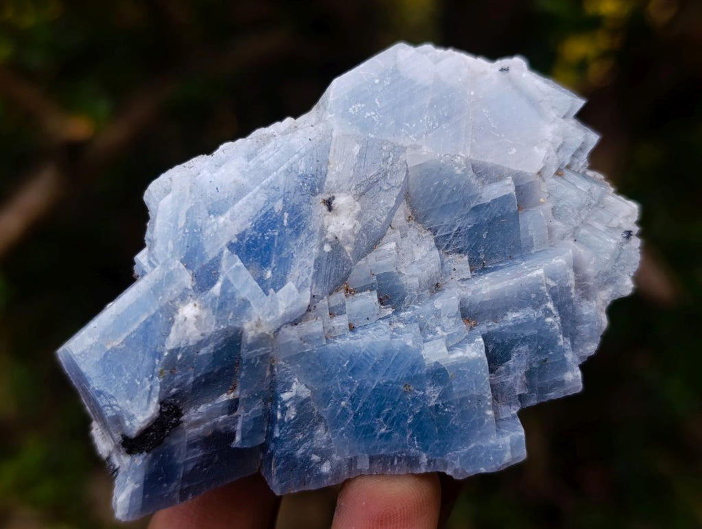 Natural Sky Blue Calcite Specimens x 12 From Spitzkop, Namibia - Toprock Gemstones and Minerals 