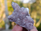Natural Spirit Amethyst Single Small Crystals x 70 From Boekenhouthoek, South Africa - Toprock Gemstones and Minerals 