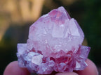 Natural Spirit Amethyst Single Small Crystals x 70 From Boekenhouthoek, South Africa - Toprock Gemstones and Minerals 