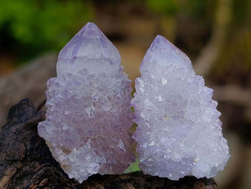 Natural Spirit Amethyst Single Small Crystals x 70 From Boekenhouthoek, South Africa - Toprock Gemstones and Minerals 