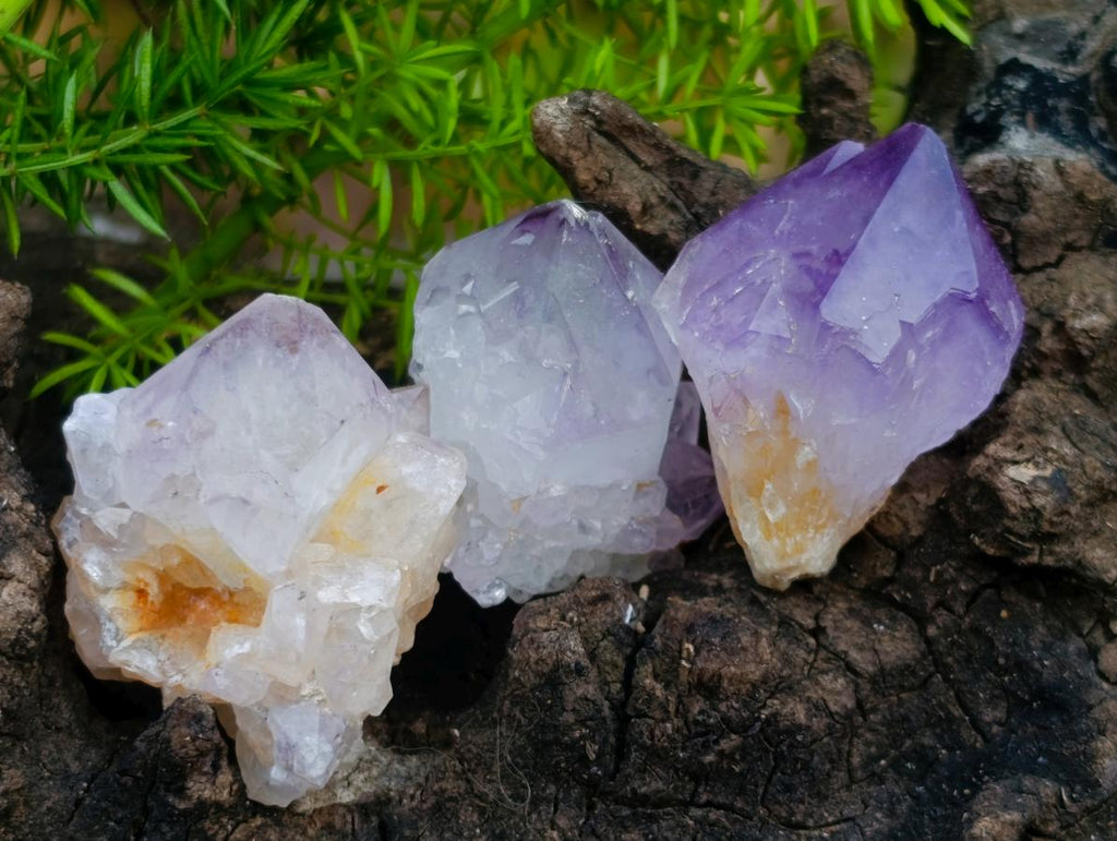 Natural Spirit Amethyst Single Small Crystals x 70 From Boekenhouthoek, South Africa - Toprock Gemstones and Minerals 