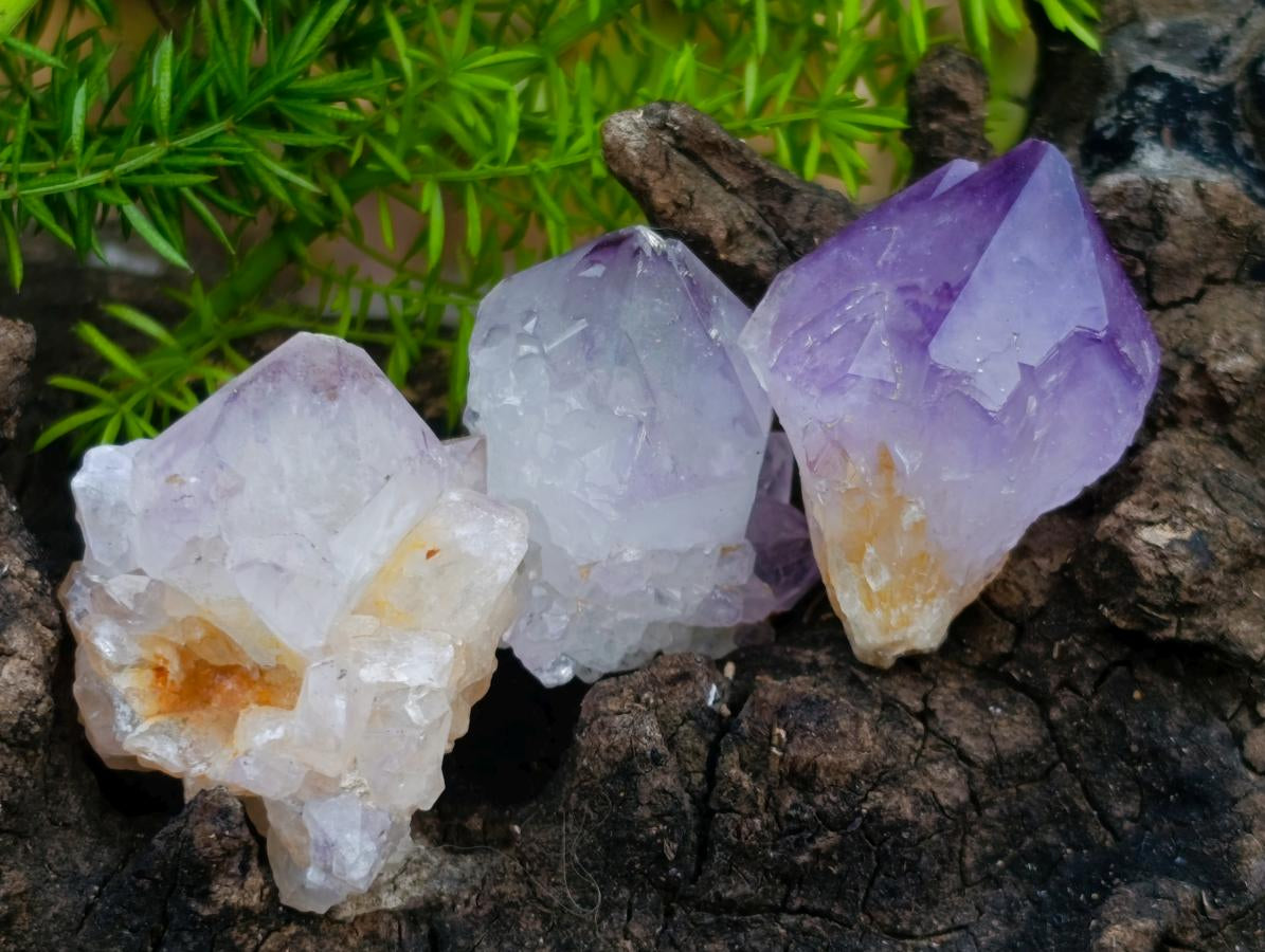 Natural Spirit Amethyst Single Small Crystals x 70 From Boekenhouthoek, South Africa - Toprock Gemstones and Minerals 
