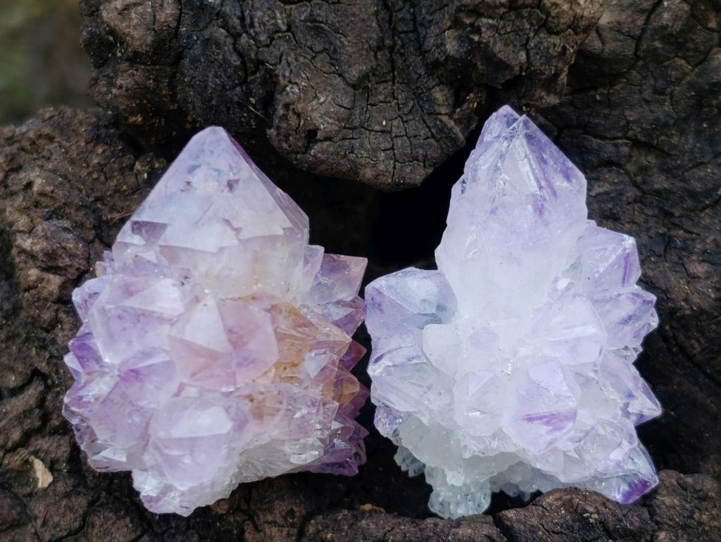 Natural Spirit Amethyst Single Small Crystals x 70 From Boekenhouthoek, South Africa - Toprock Gemstones and Minerals 