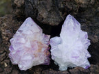Natural Spirit Amethyst Single Small Crystals x 70 From Boekenhouthoek, South Africa - Toprock Gemstones and Minerals 
