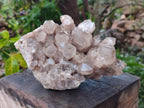 Natural Large Cascading White Phantom Smokey Luena Quartz Cluster x 1 From Luena, Congo - Toprock Gemstones and Minerals 