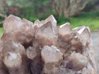 Natural Large Cascading White Phantom Smokey Luena Quartz Cluster x 1 From Luena, Congo - Toprock Gemstones and Minerals 