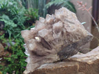 Natural Large Cascading White Phantom Smokey Luena Quartz Cluster x 1 From Luena, Congo - Toprock Gemstones and Minerals 