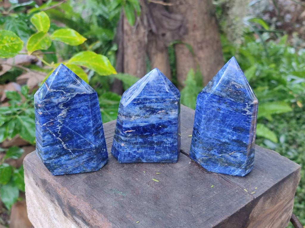 Polished Sodalite Display Crystal Points x 3 From Kunene River, Namibia - Toprock Gemstones and Minerals 