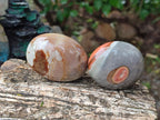 Polished Polychrome Jasper Mixed Pieces x 12 From NW Coast, Madagascar - Toprock Gemstones and Minerals 