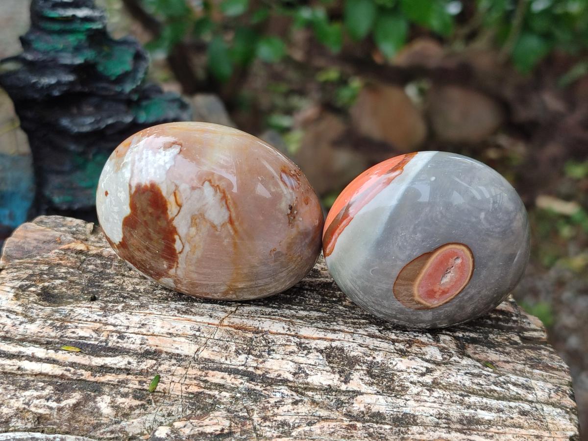 Polished Polychrome Jasper Mixed Pieces x 12 From NW Coast, Madagascar - Toprock Gemstones and Minerals 