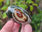 Polished Polychrome Jasper Mixed Pieces x 12 From NW Coast, Madagascar - Toprock Gemstones and Minerals 