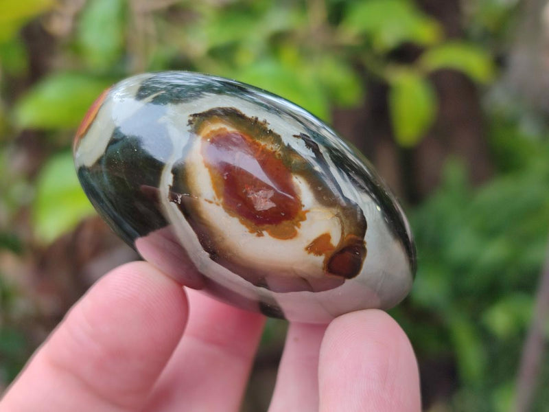 Polished Polychrome Jasper Mixed Pieces x 12 From NW Coast, Madagascar - Toprock Gemstones and Minerals 