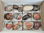 Polished Polychrome Jasper Mixed Pieces x 12 From NW Coast, Madagascar - Toprock Gemstones and Minerals 