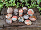 Polished Polychrome Jasper Mixed Pieces x 12 From NW Coast, Madagascar - Toprock Gemstones and Minerals 