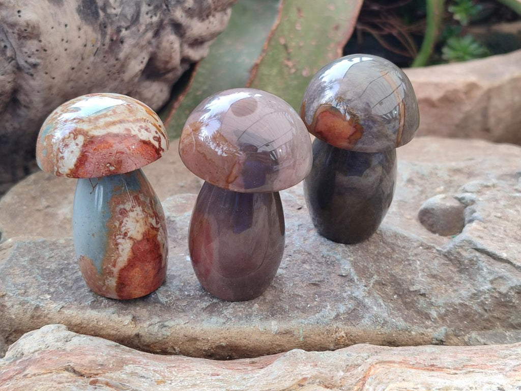 Polished Polychrome Jasper Mixed Pieces x 12 From NW Coast, Madagascar - Toprock Gemstones and Minerals 