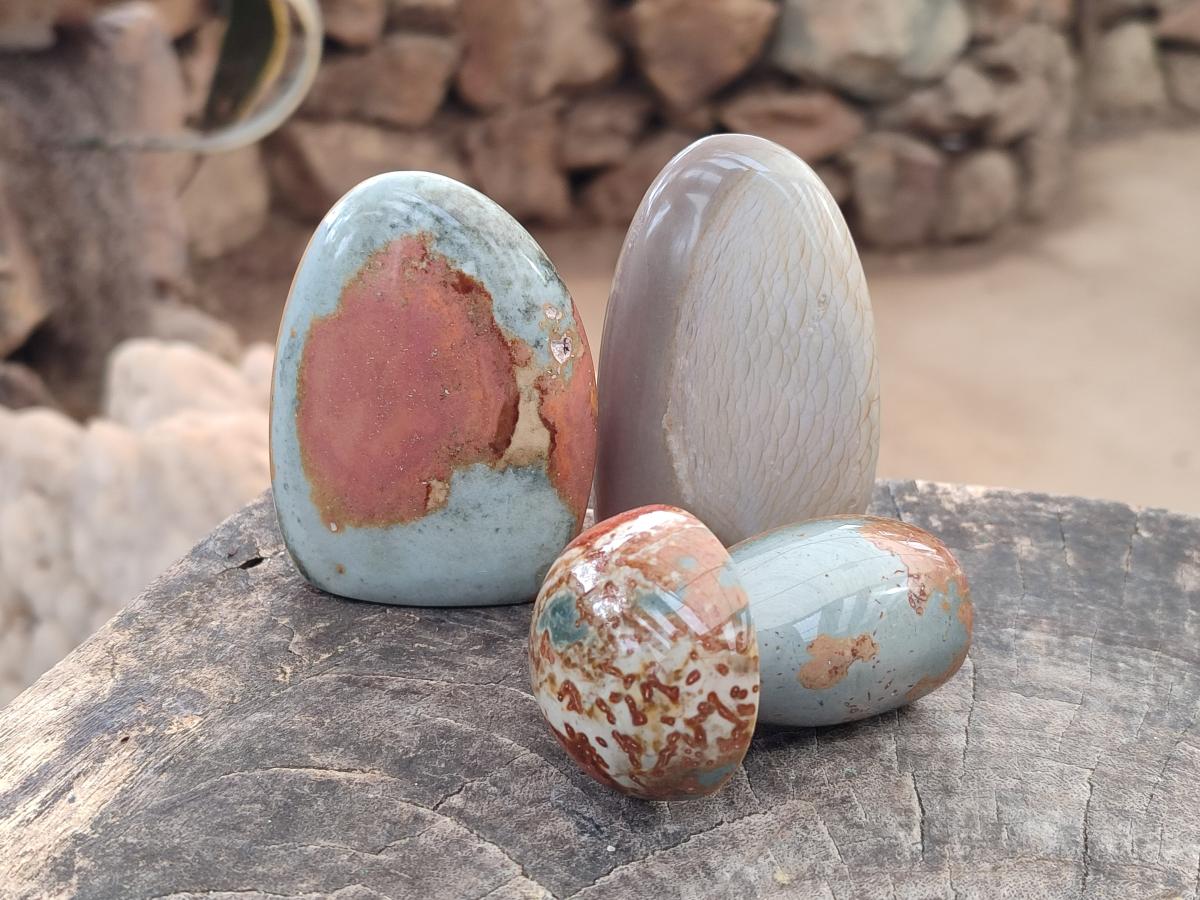 Polished Polychrome Jasper Mixed Pieces x 12 From NW Coast, Madagascar - Toprock Gemstones and Minerals 