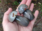 Polished Polychrome Jasper Mixed Pieces x 12 From NW Coast, Madagascar - Toprock Gemstones and Minerals 