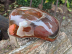 Polished One Side Large Polychrome Jasper Standing Display Piece x 1 From NW Coast, Madagascar - Toprock Gemstones and Minerals 