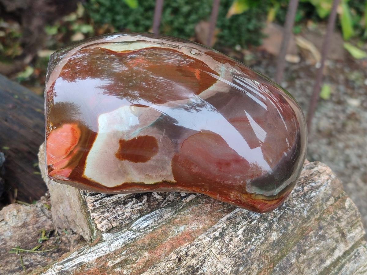 Polished One Side Large Polychrome Jasper Standing Display Piece x 1 From NW Coast, Madagascar - Toprock Gemstones and Minerals 